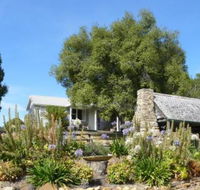 Sassafras Springs - Accommodation Gold Coast
