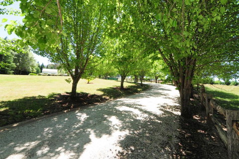 Daisy Cottage - Accommodation Gold Coast 7