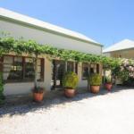 Daisy Cottage - Accommodation Gold Coast 1