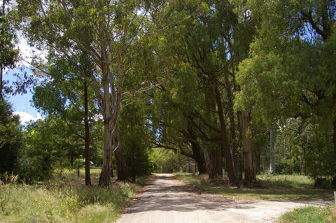 Stanley Goose Cottage - Accommodation Gold Coast 2