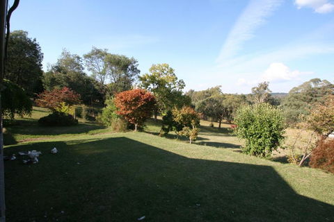 Stanley Goose Cottage - Accommodation Gold Coast 1