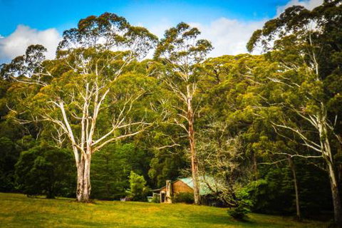 Ghost Hill Road Retreat - Accommodation Gold Coast 6