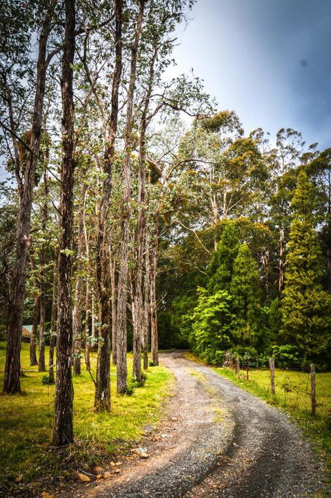 Ghost Hill Road Retreat - Accommodation Gold Coast 2