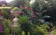 Admurraya House Bed & Breakfast - thumb 6