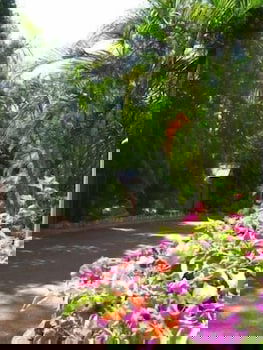 Ivanhoe Village Caravan Resort - Gold Coast 4U 2
