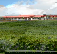 Turners Vineyard Motel and Function Centre - Gold Coast 4U