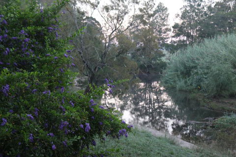 Serendipity On Allyn - Gold Coast 4U 7