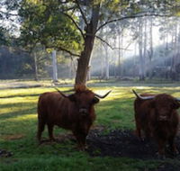 Dingley Dell - Accommodation Gold Coast