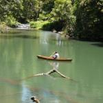 Figtree Getaway - Accommodation Gold Coast 0