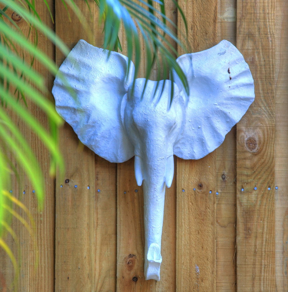 Palm Cove QLD 1 Gold Coast