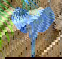 Deja Vu Palm Cove Private Heated Pool - 1 Gold Coast