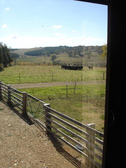 Black Sheep Inn - Gold Coast 4U 3