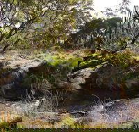 Green Gully House - Accommodation Gold Coast