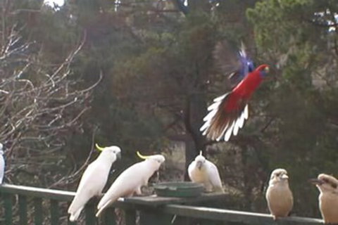 Mooltan House-hepburn Springs - 1 Gold Coast 3