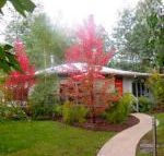Dalrymples Guest Cottages - Gold Coast 4U