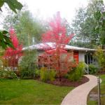 Dalrymples Guest Cottages - Gold Coast 4U 0