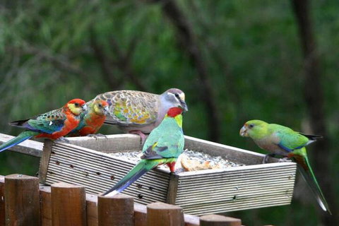 Honeymoon View - 1 Gold Coast 5