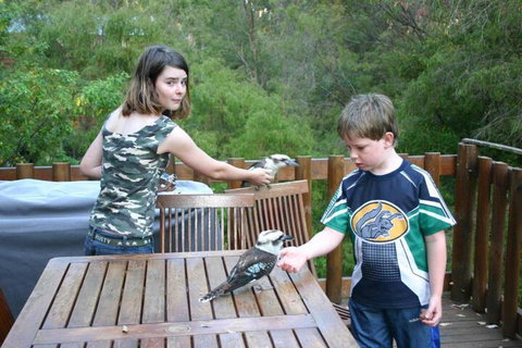 Honeymoon View - 1 Gold Coast 2