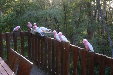 Honeymoon View - 1 Gold Coast 3