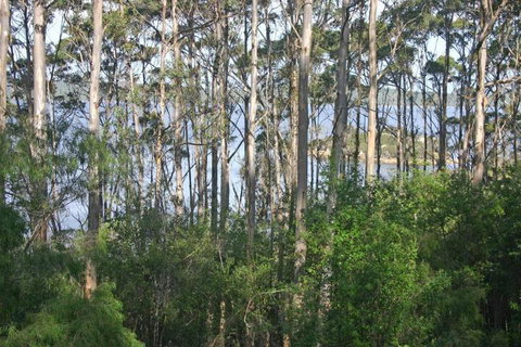 Honeymoon View - 1 Gold Coast 7