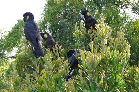 Eagles Rise Tasmania - Accommodation Gold Coast 5