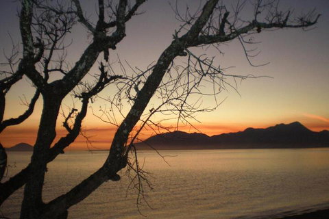 Daintree Village Hideaway - 1 Gold Coast 3