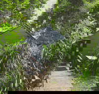 Montagues of Montville - Gold Coast 4U