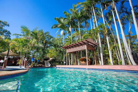 Big4 Tweed Billabong Holiday Park - Gold Coast 4U 5