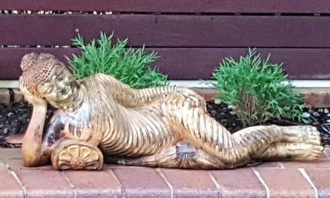 Ballina Palms Boutique Motel - Gold Coast 4U 1