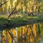 On The Banks - 1 Gold Coast 0