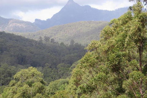 Babbling Brook Retreat - Gold Coast 4U 7