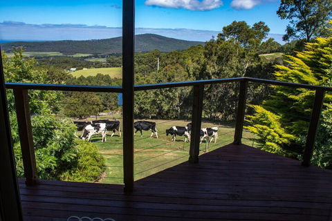 Celestine Retreat - Accommodation Gold Coast 3