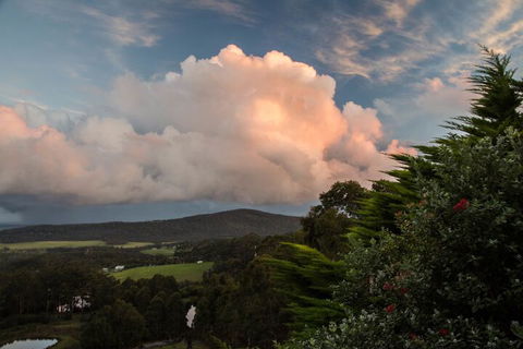 Celestine Retreat - Accommodation Gold Coast 7