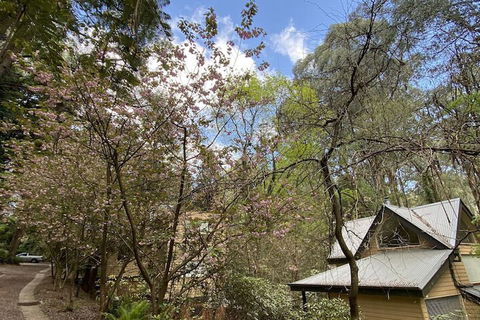 Lochiel Luxury Accommodation - Gold Coast 4U 4
