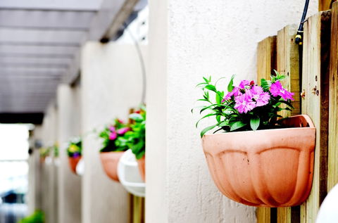 Spring Hill Mews Apartments - Accommodation Gold Coast 2