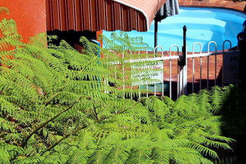 Matilda Motel - Accommodation Gold Coast 3