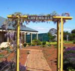 Lavendale Farmstay  Cottages York - Gold Coast 4U