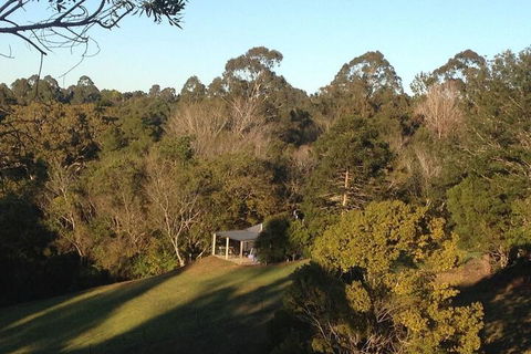 Jacaranda Cottages - Accommodation Gold Coast 3