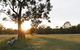 Hunter Hideaway Cottages - thumb 1