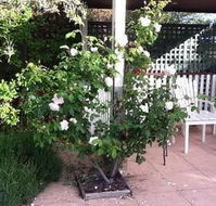 Ellesmere House - Accommodation Gold Coast