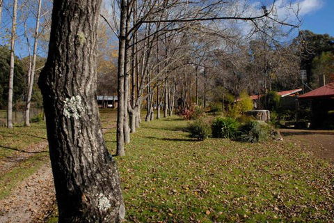 Birdwing Bed & Breakfast Weegena - Accommodation Gold Coast 2