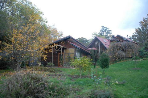 Birdwing Bed & Breakfast Weegena - Accommodation Gold Coast 3