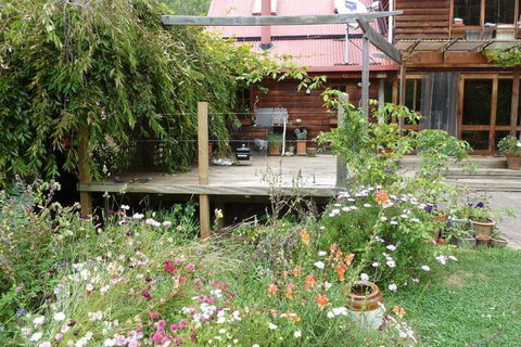 Birdwing Bed & Breakfast Weegena - Accommodation Gold Coast 6
