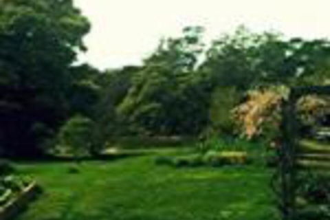 Birdwing Bed & Breakfast Weegena - Accommodation Gold Coast 0