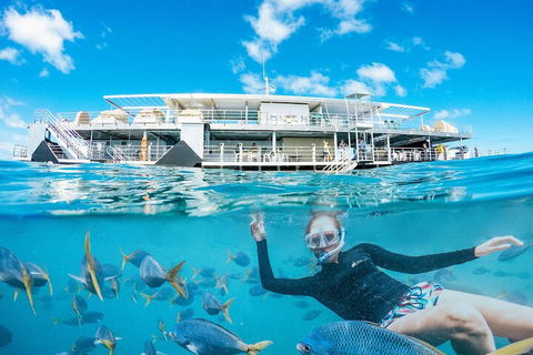 Reefsleep - Accommodation Gold Coast 2