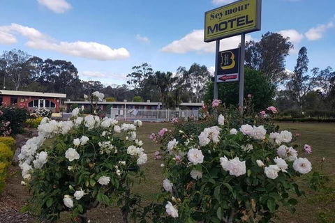 Seymour Motel - Accommodation Gold Coast 6