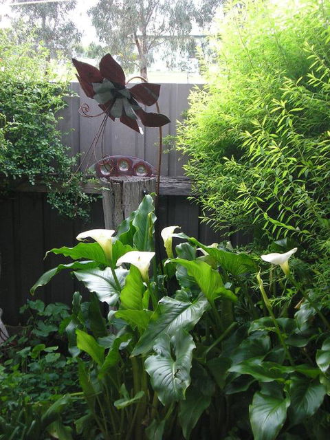 C & As Cottage - Accommodation Gold Coast 2
