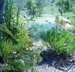 Old Miners Cottages Bed  Breakfast - Accommodation Gold Coast