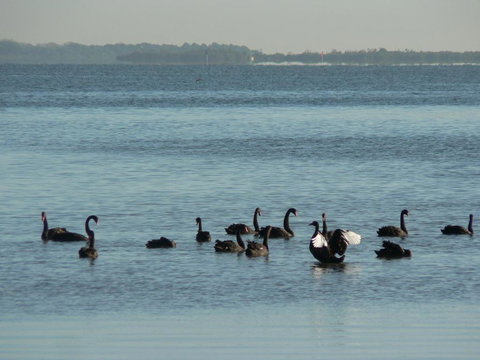 The Friendly Chat Bed & Breakfast - Accommodation Gold Coast 2