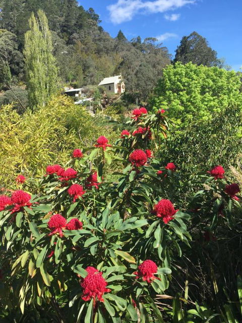 Stringers Cottage - Accommodation Gold Coast 1